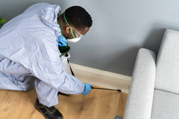 Best Real Estate Pest Inspections  in Moorpark, CA